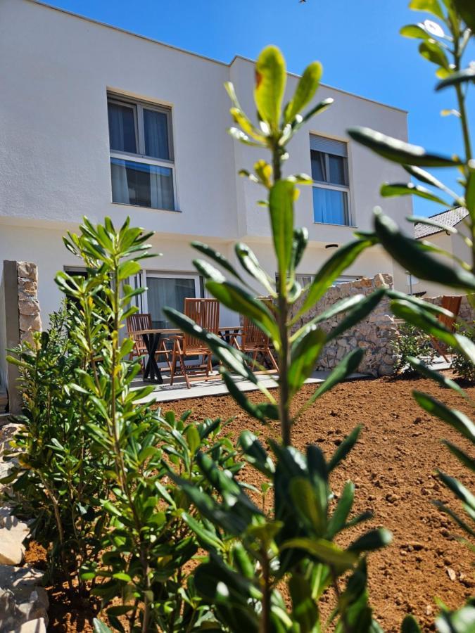 Bura House Villa Povljana Ngoại thất bức ảnh