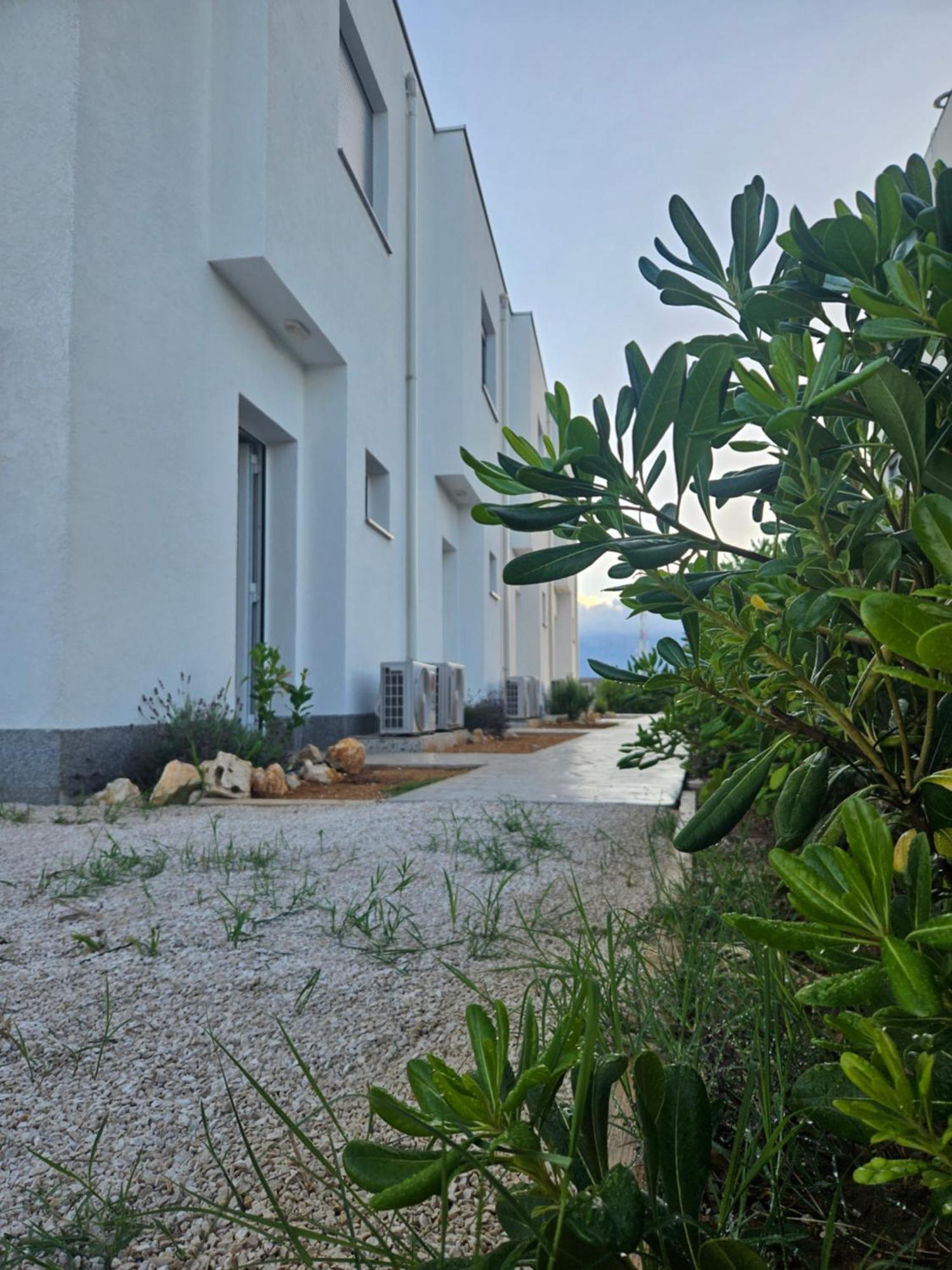 Bura House Villa Povljana Phòng bức ảnh