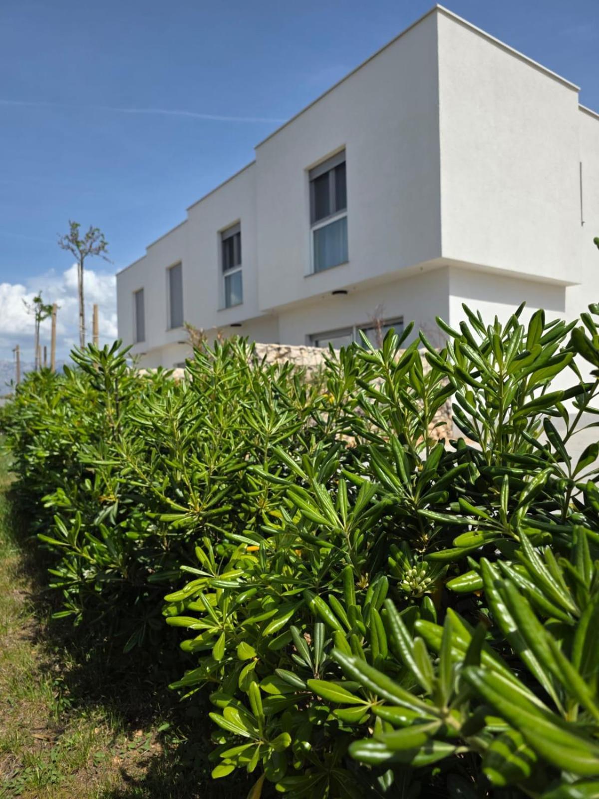 Bura House Villa Povljana Ngoại thất bức ảnh